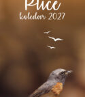Koledar Ptice 2027